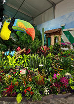 Macy's Flower Show  Things to do in New York